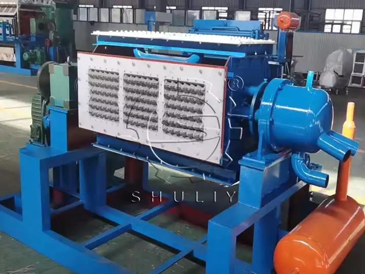 egg carton forming machine