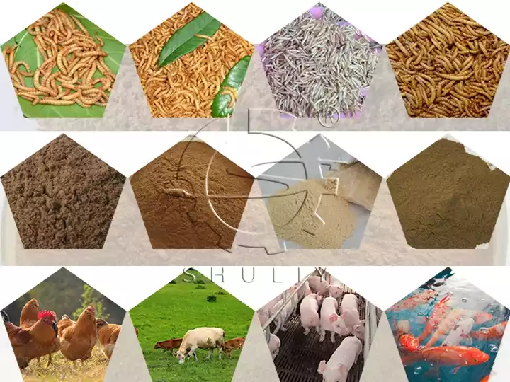 other applications of fish meal production line